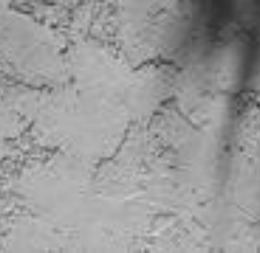 Stucco Texture Matching in Scottsdale, AZ Stucco Texture Matching in Scottsdale, AZ